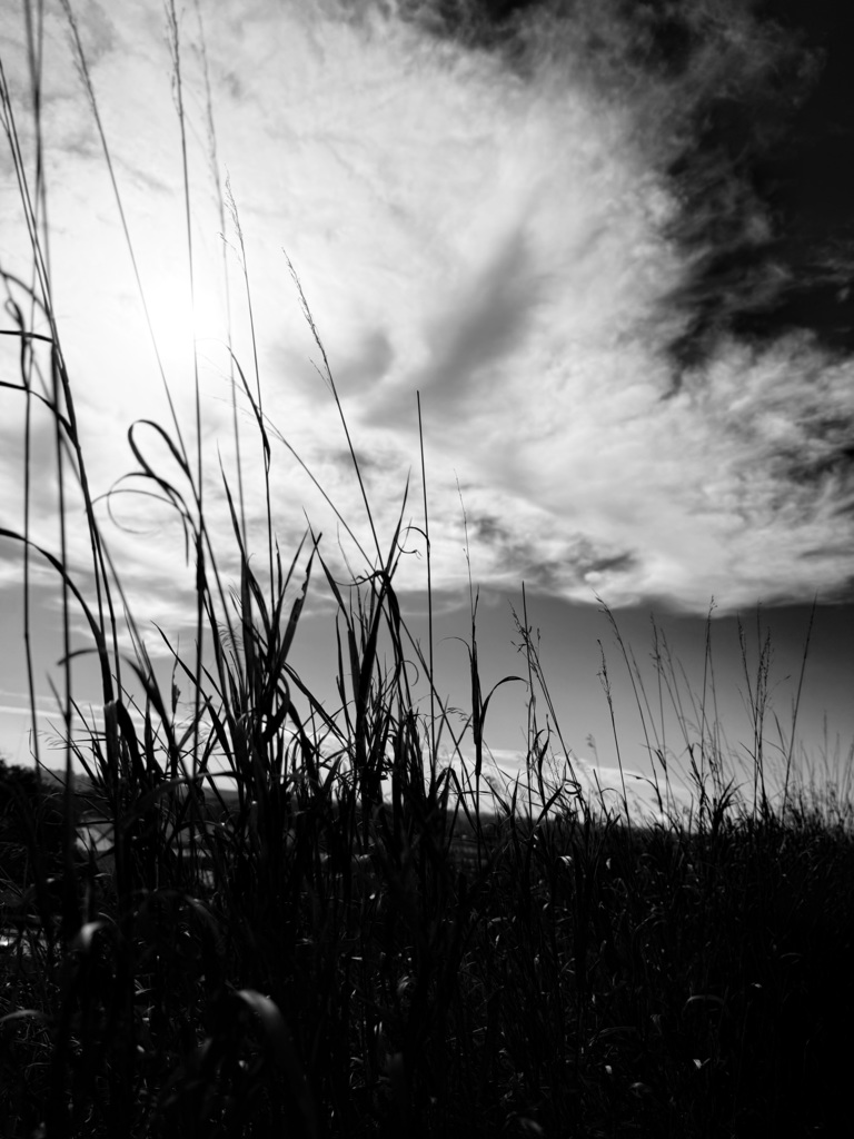 Black & White Prairie 
