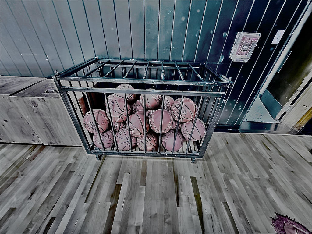 Basketballs Value (Logan K.) 
