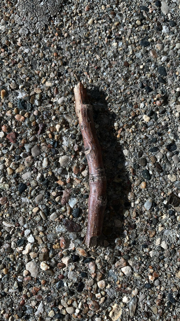 Texture with Stick 