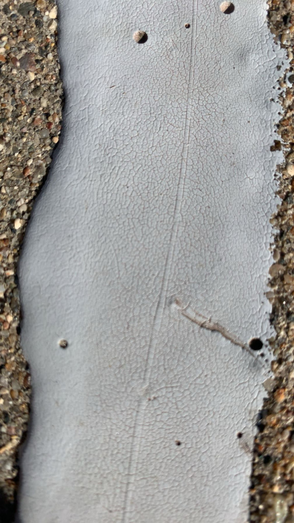 Sidewalk Close Up 