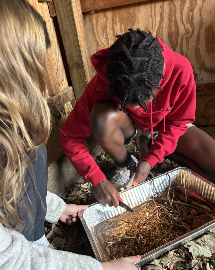 fire starting with magnesium 