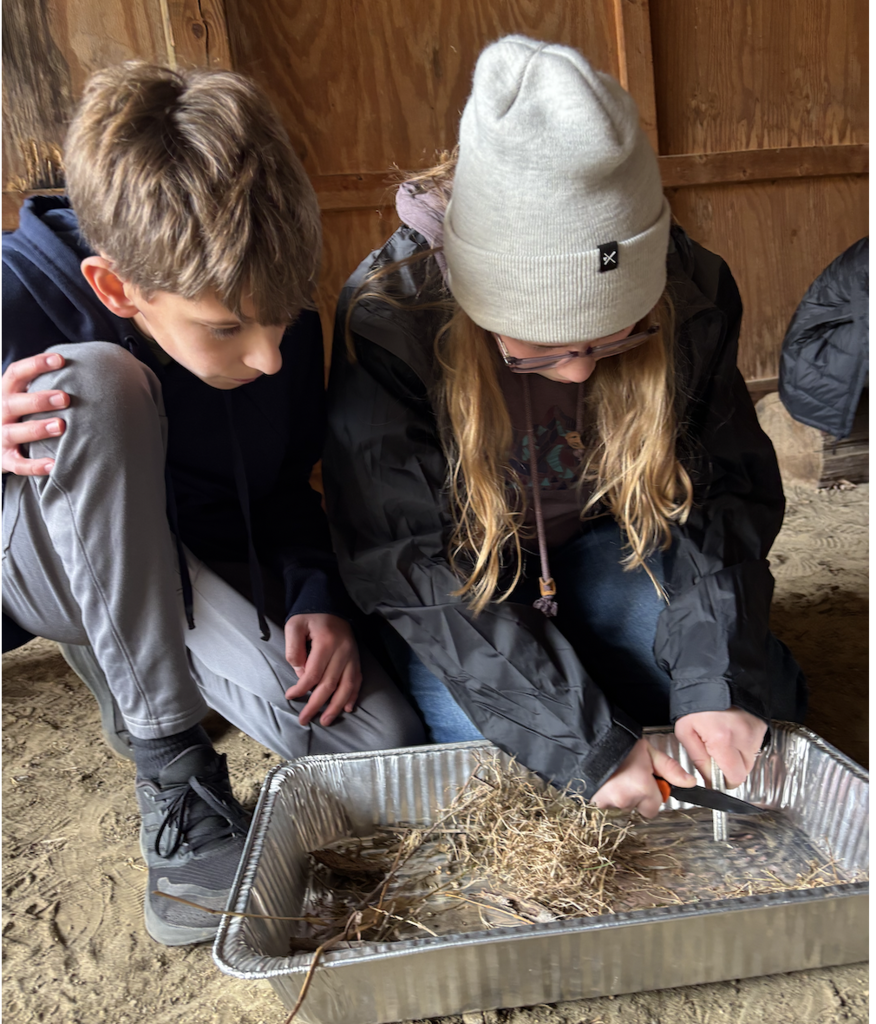 fire starting with magnesium 