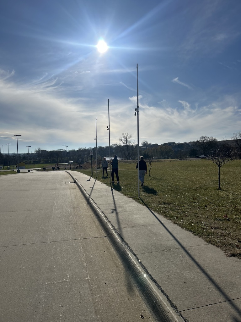 Basketball Service Project  - Flag Spotlights