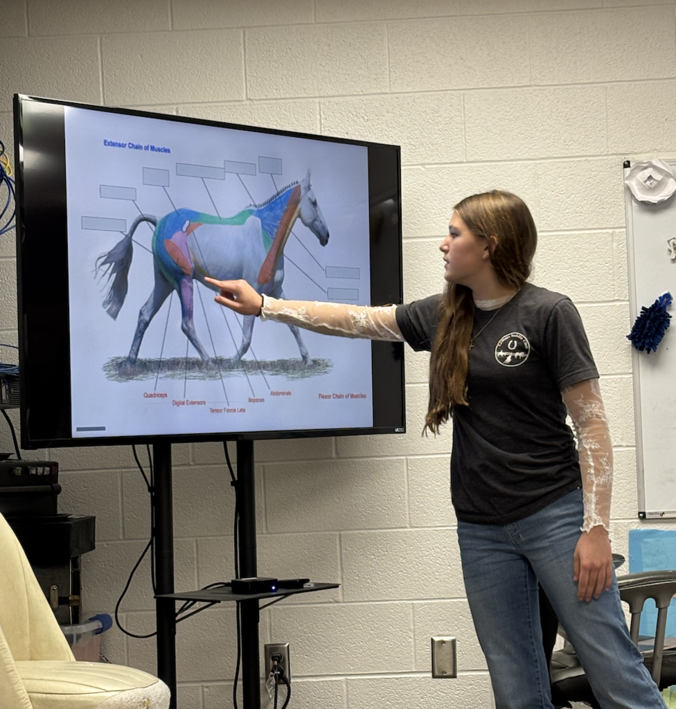 passion project presentation