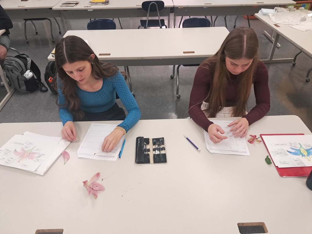 Plant Science flower dissection 