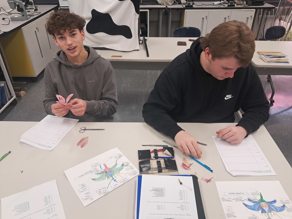 Plant Science flower dissection 