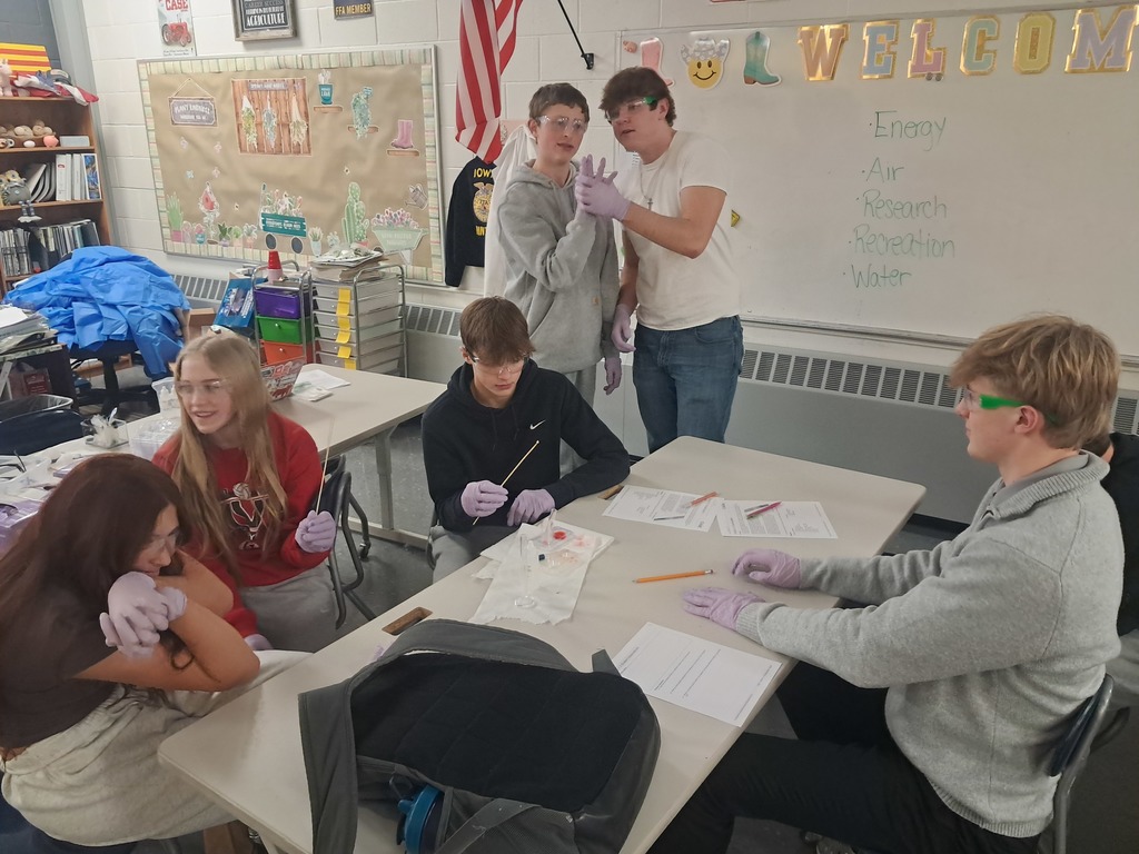 Into to Ag students extracting DNA from a strawberry