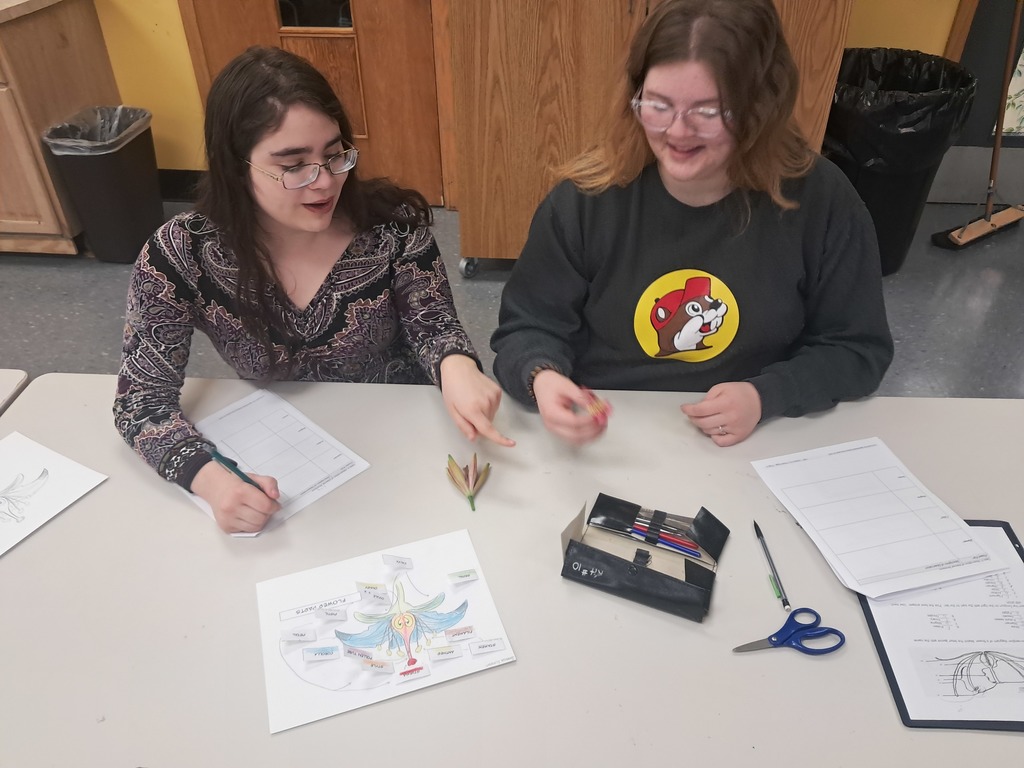 Plant Science flower dissection 