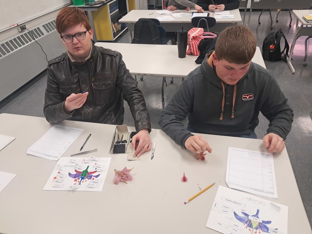 Plant Science flower dissection 