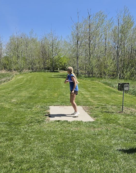 disc golf 