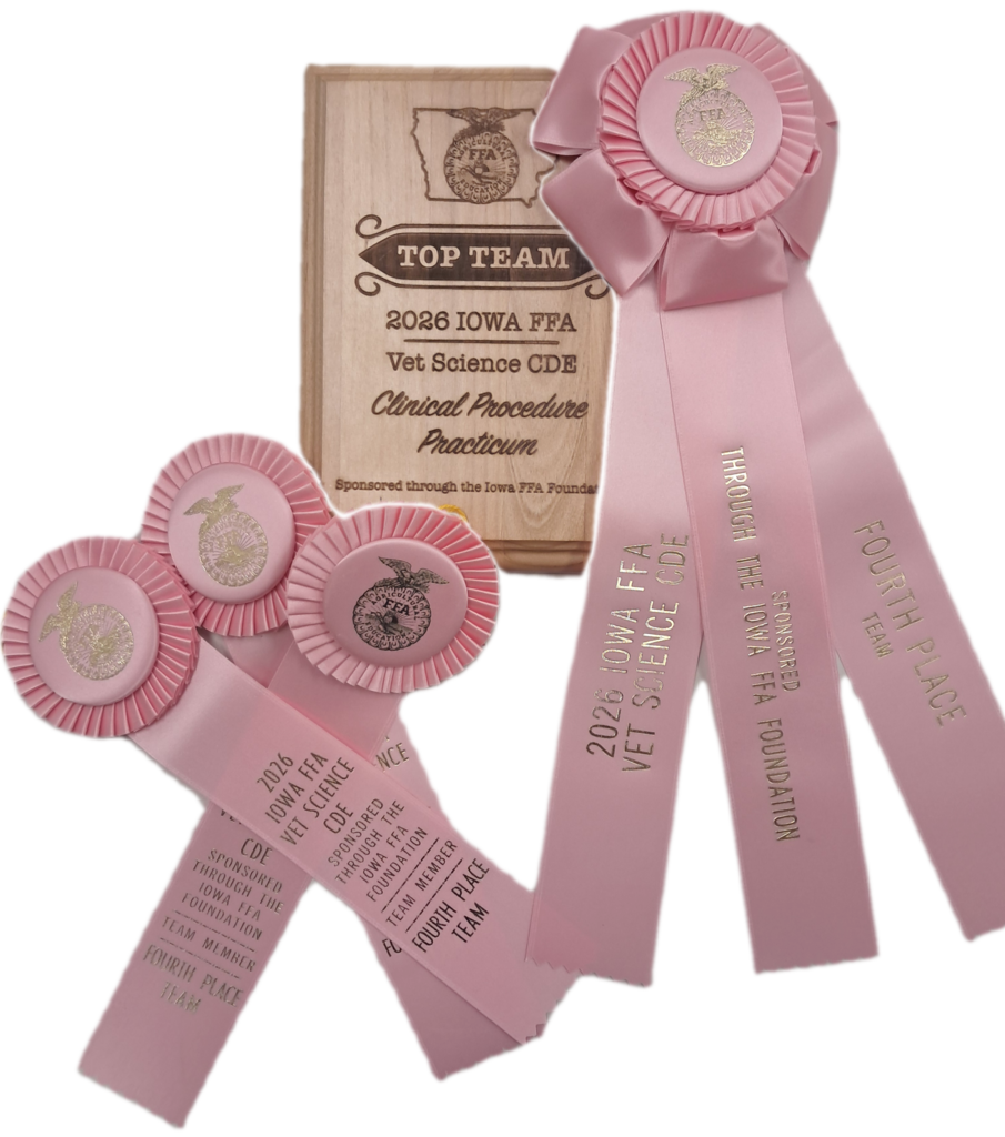 Ribbons and Plaque