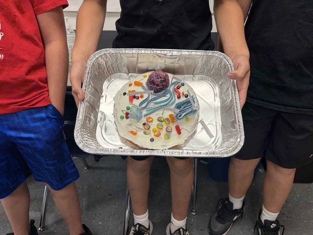 Animal cell