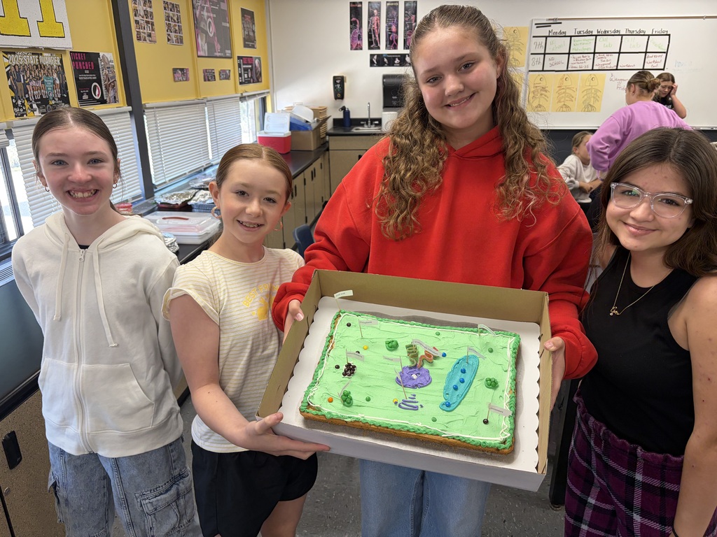 plant cell