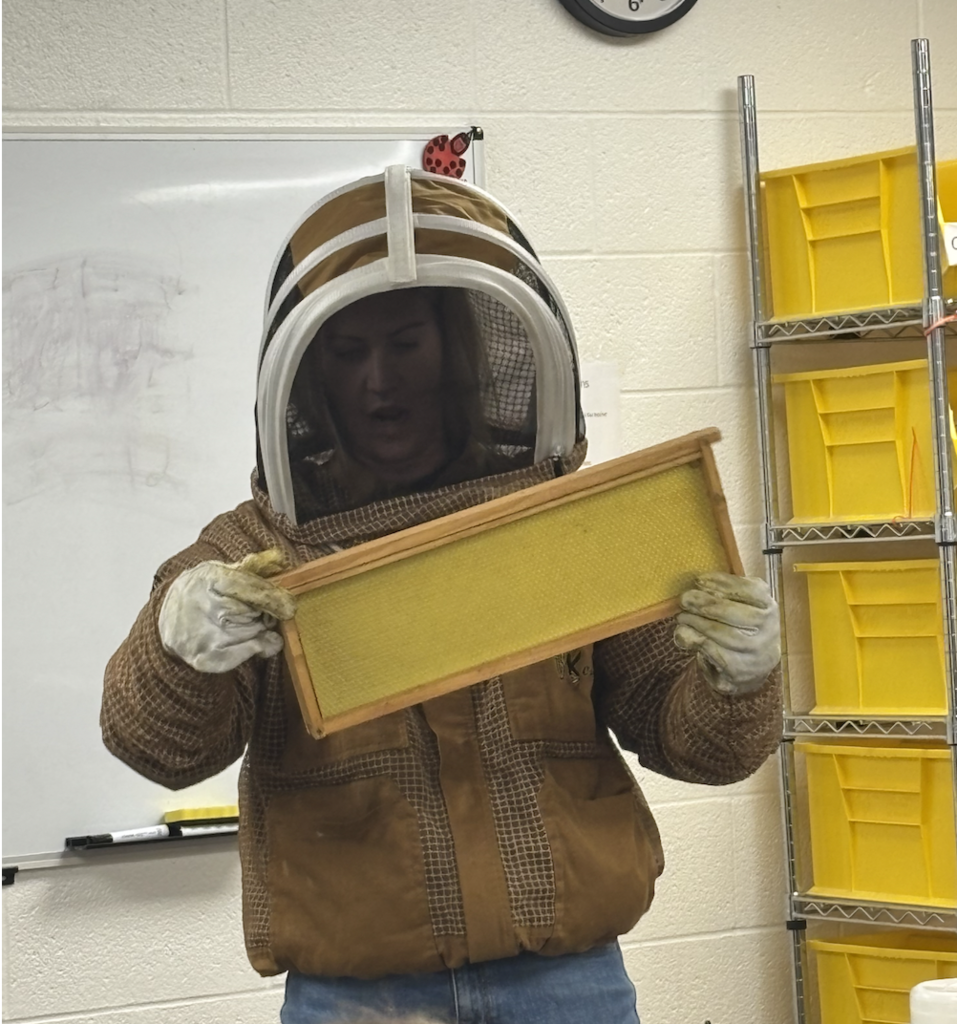 hive frame