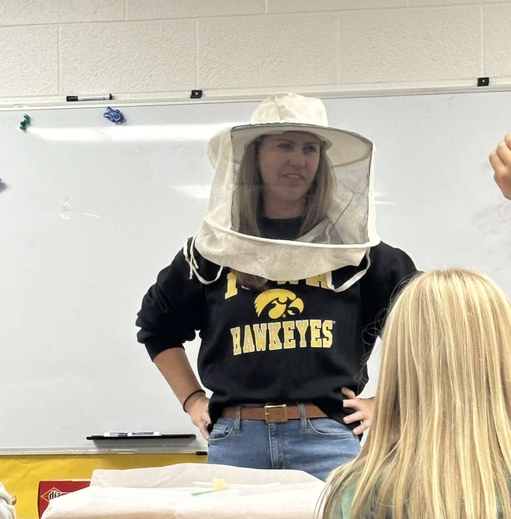 beekeeper veil