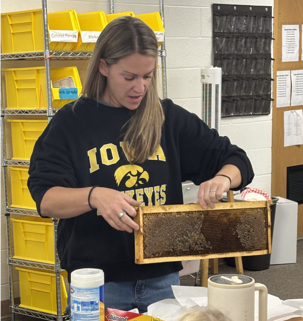 hive frame with honey and beeswax