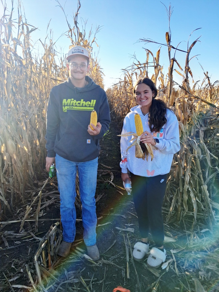 Calmer Corn Heads