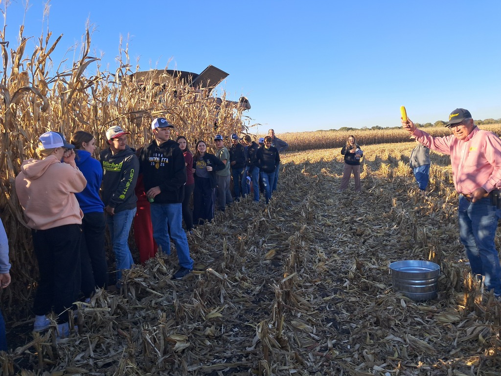 Calmer Corn Heads
