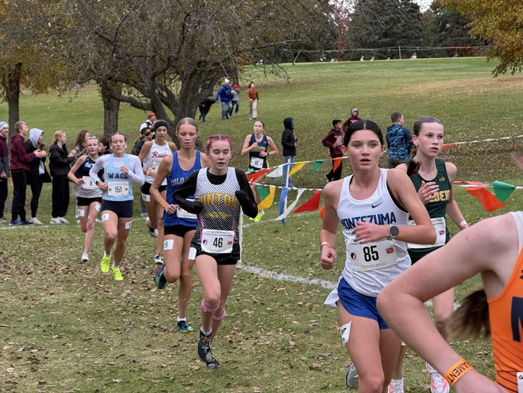 Stella mid race
