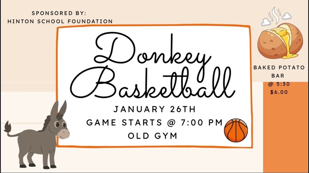 donkey basketball