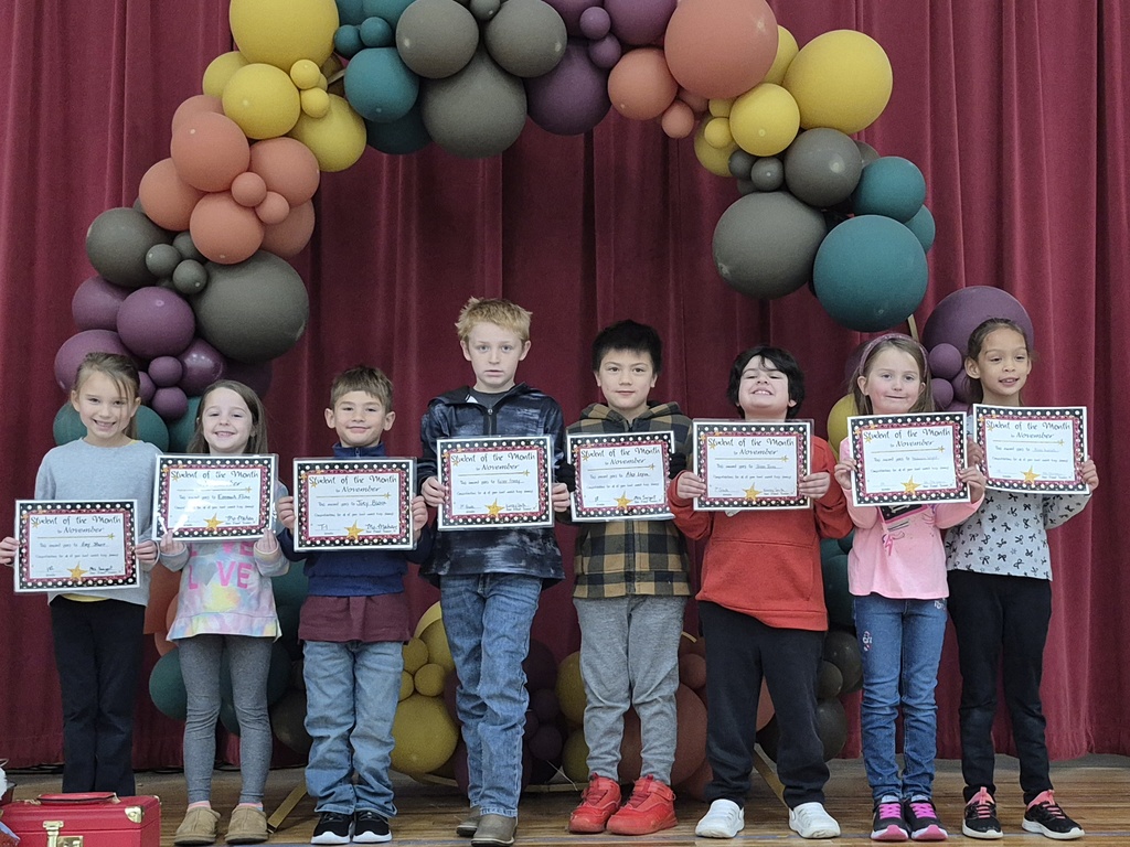 T1/1st Grade November SOM