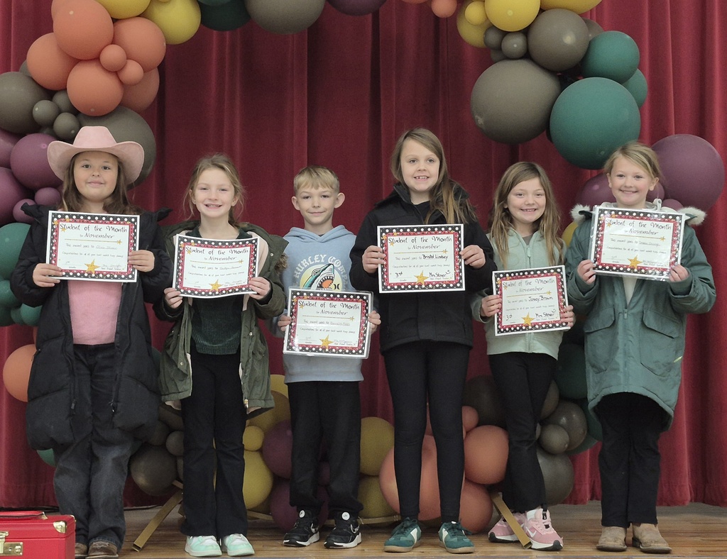 3rd grade November SOM