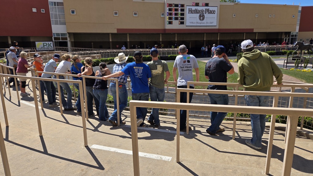 Horse Races