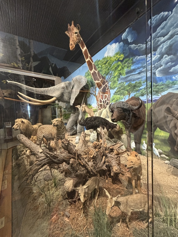 Animals Exhibit 