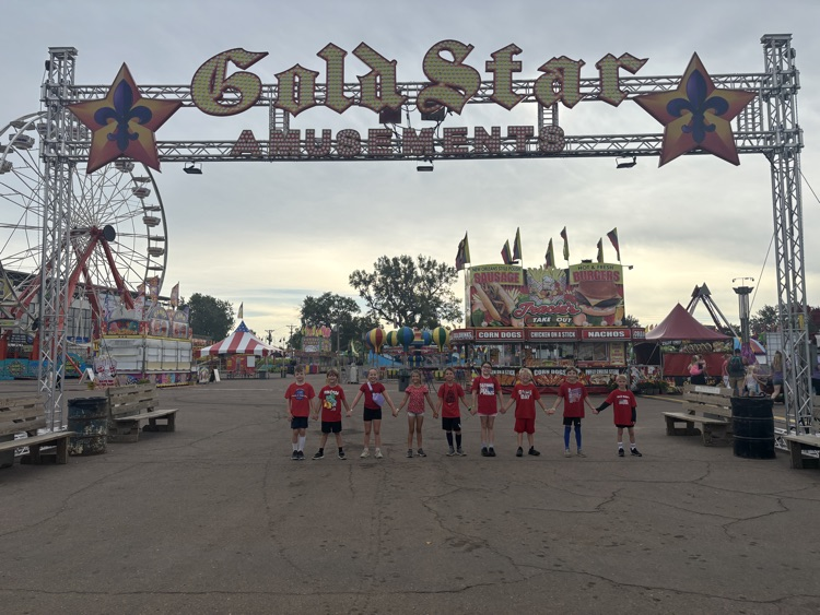 🎡
