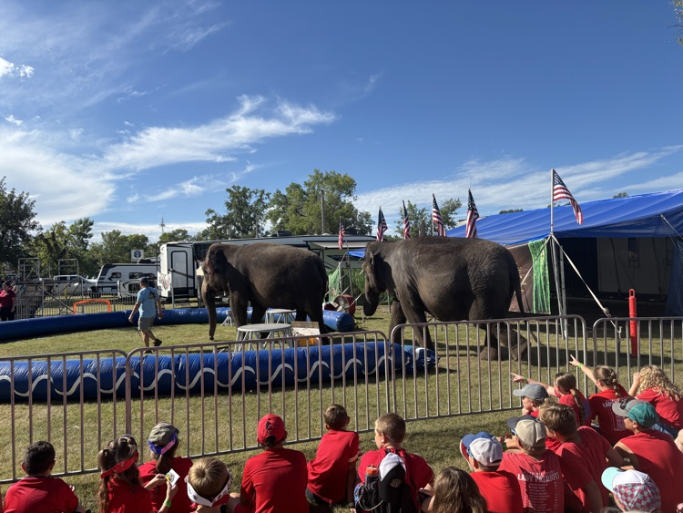 🐘