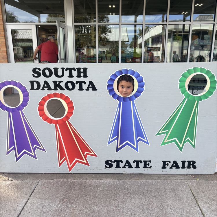 sf6