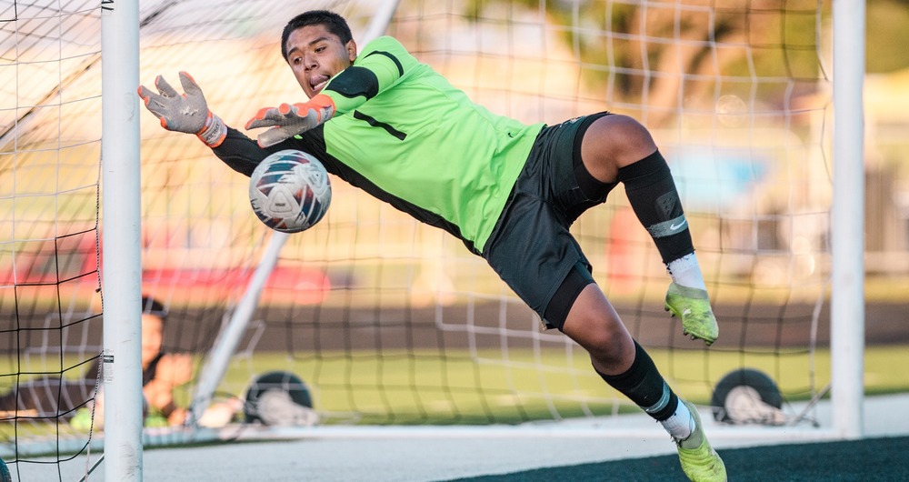 goalie catching ball
