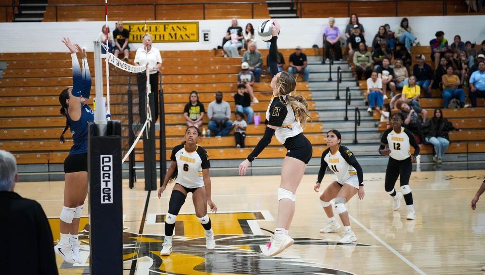 volleyball player spiking ball