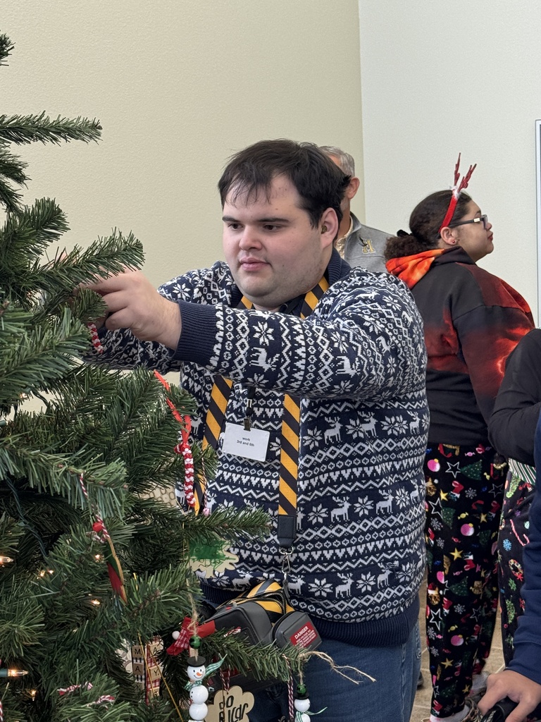student hanging ornament