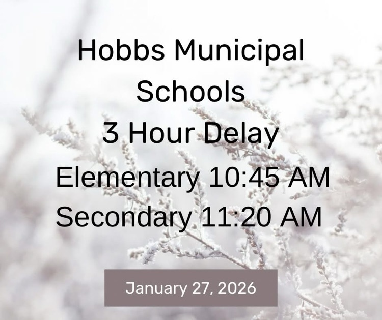 3 hour delay for January 27
