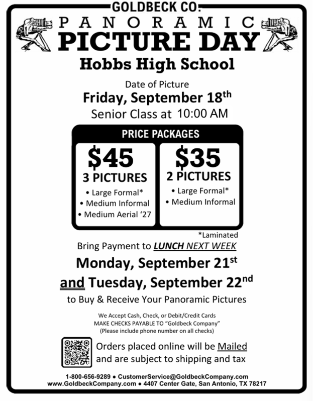 panoramic picture flyer