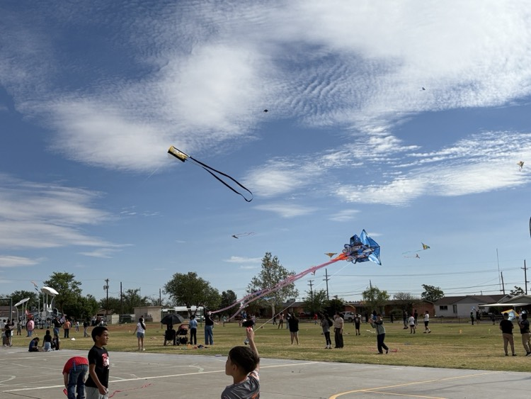 kids flying kites