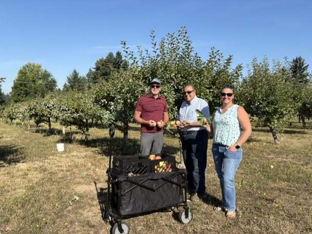 Adults harvesting apples with a black cart