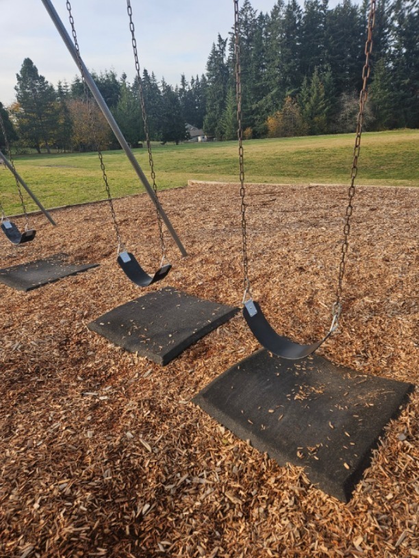 HHES swingset