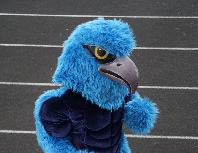 Blue hawk mascot stands on the track