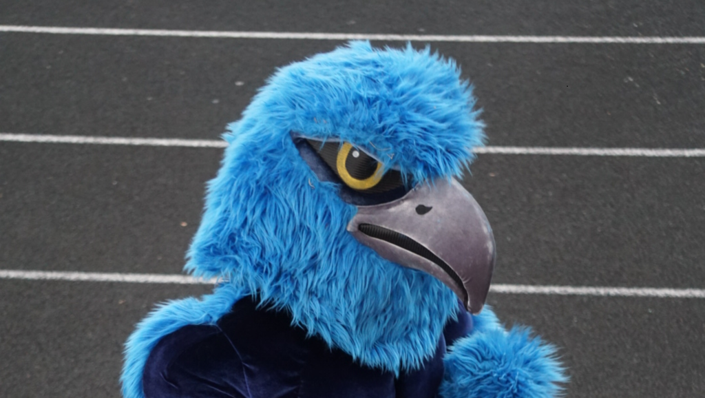 HHS Mascot, Howie the Hawk