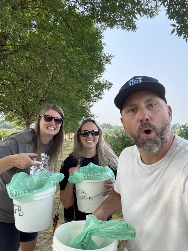 HHES administrators picking blueberries