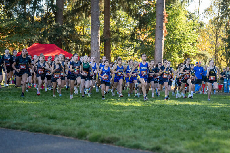 Girls middle school cross country runners