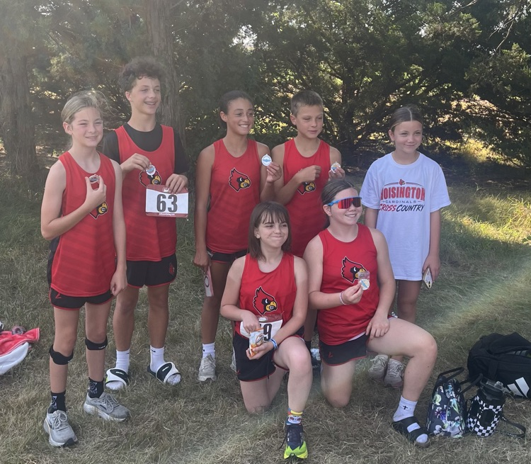 HMS Cardinal XC