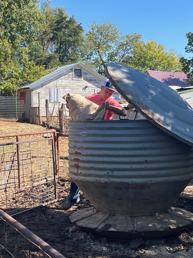 FFA pigs
