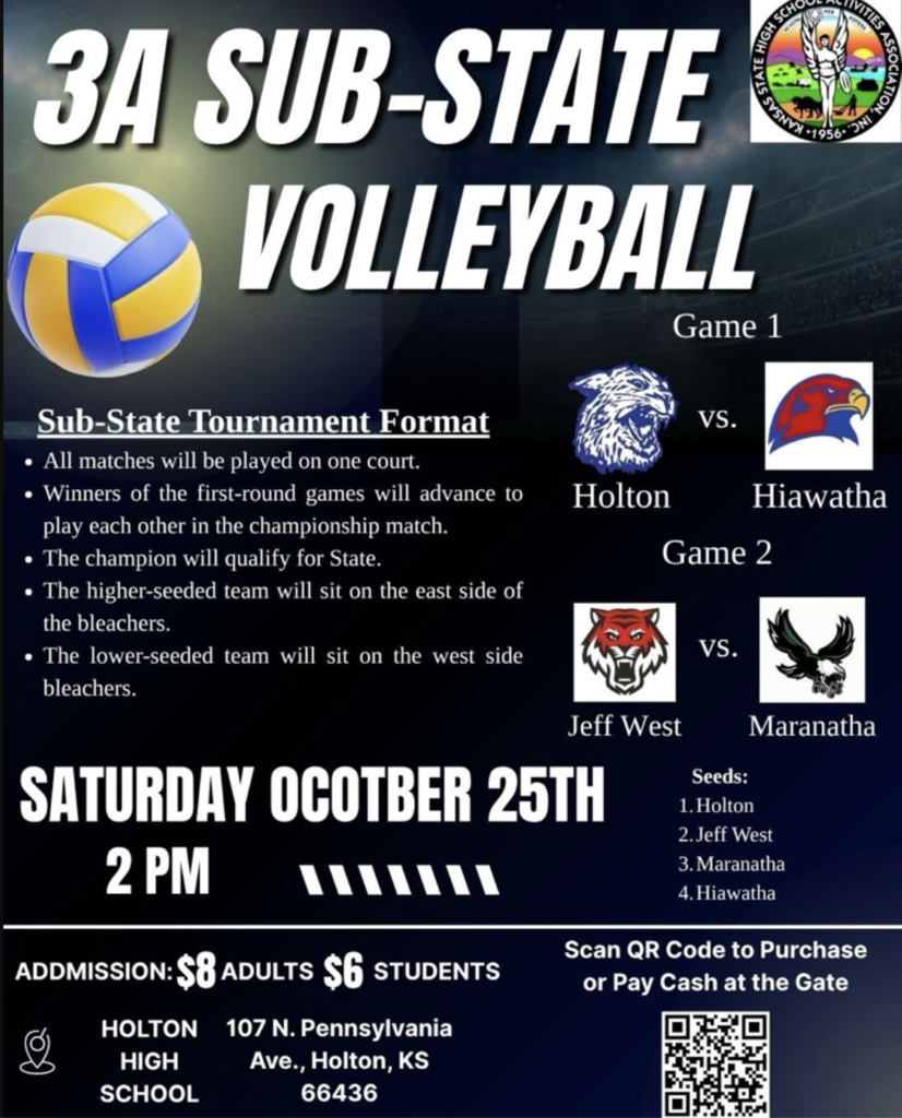 Sub State Volleyball Flyer