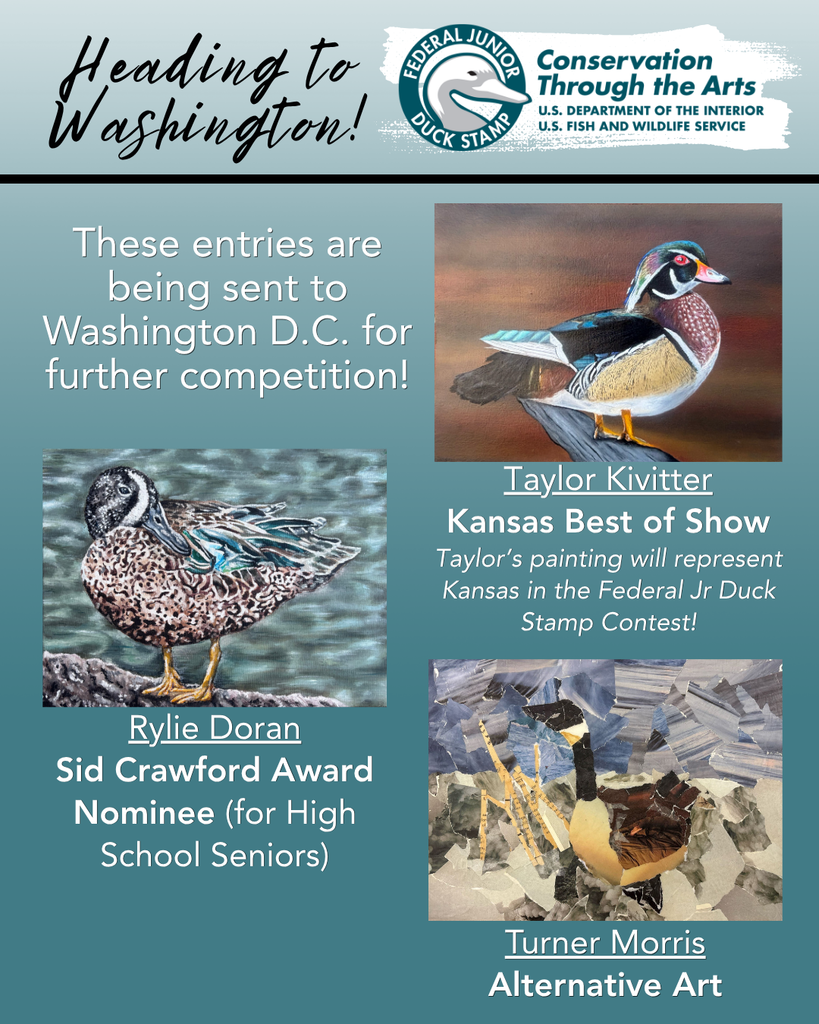 KS Junior Duck Stamp Contest