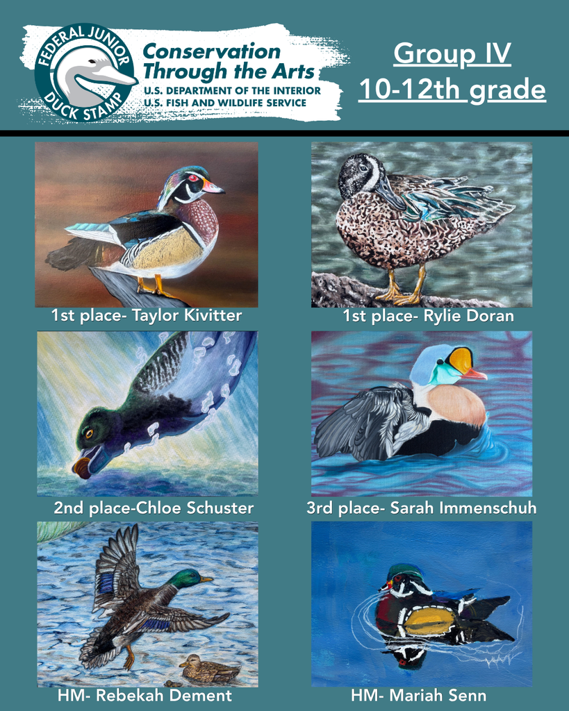 KS Junior Duck Stamp Contest