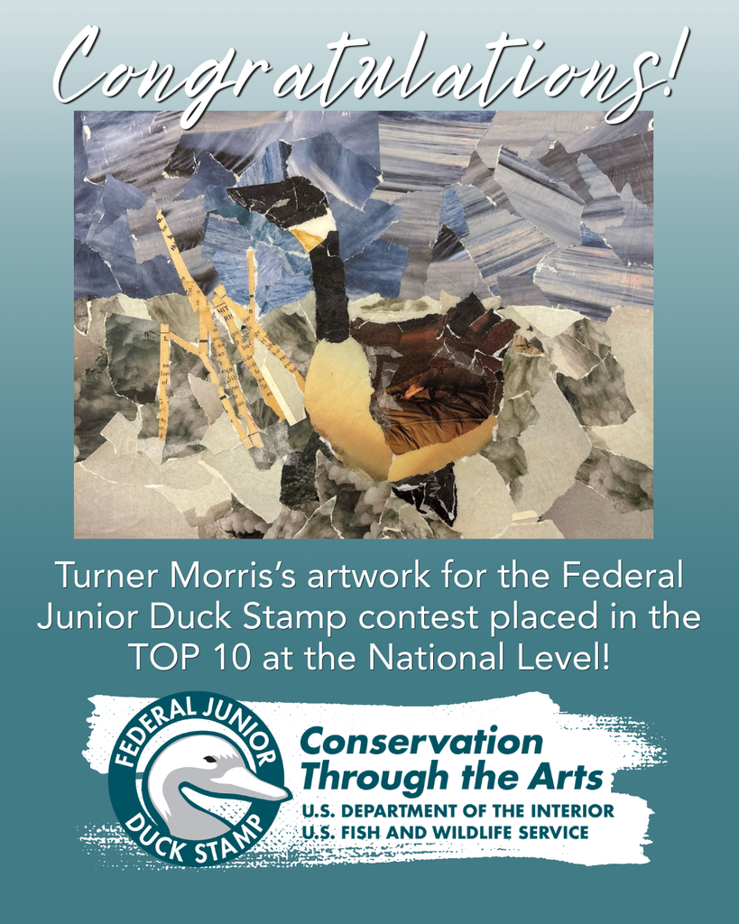 Federal Jr Duck Stamp