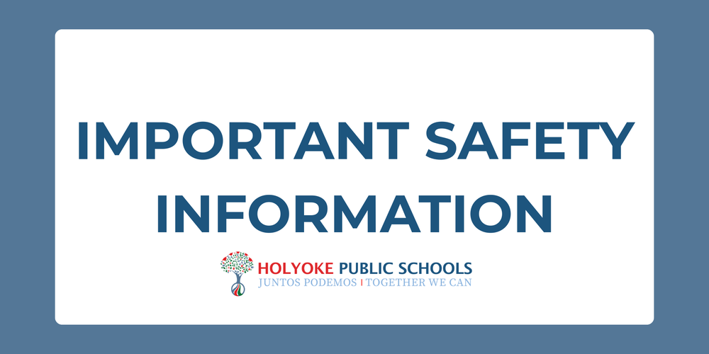 important safety information